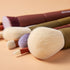 EIGSHOW Beauty Face 5-COLOR SERIES - 9 PCS MAKEUP BRUSH KIT WITH A POUCH